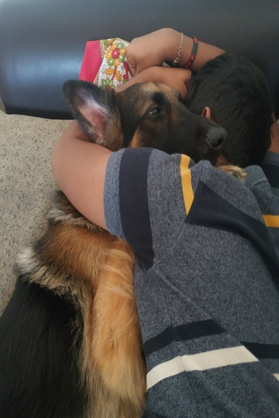 Cuddling with your dog