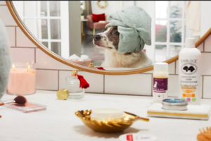dog's winter skin care