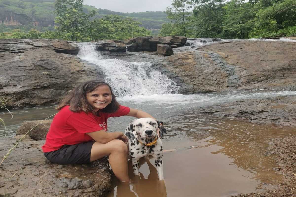 Weekend-activities-for-dog