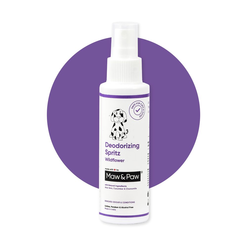 Deodorizing Spritz 100ml - Wildflower